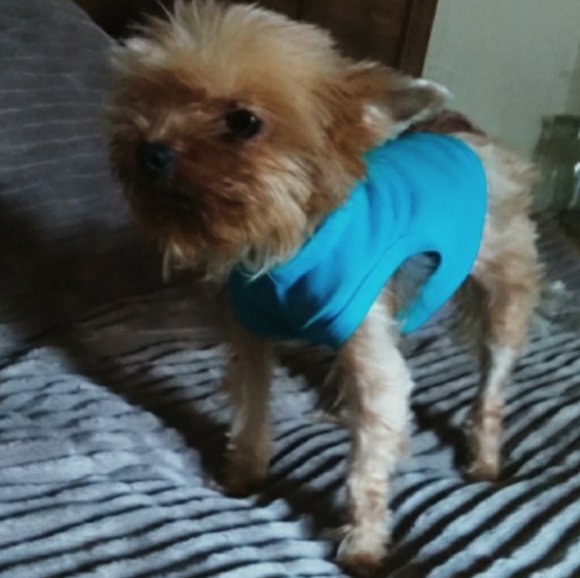 Meet your Posher - Picture 2 of 2